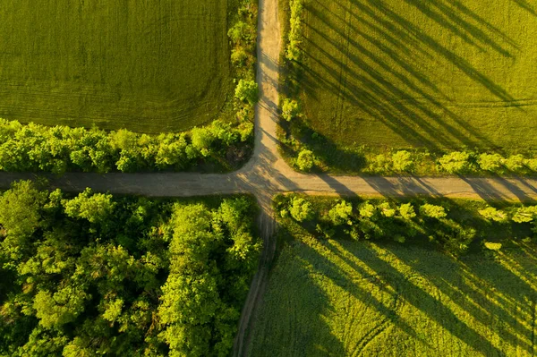 Piękny Widok Lotu Ptaka Zielone Pola Puste Skrzyżowanie — Zdjęcie stockowe