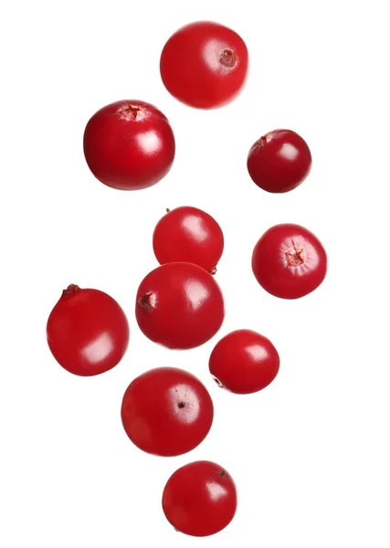 Fresh Red Cranberries Falling White Background — Stock Photo, Image