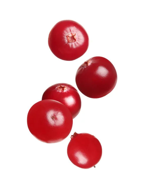 Fresh Red Cranberries Falling White Background — Stock Photo, Image