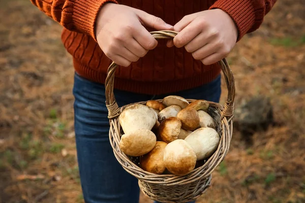 Hombre Sosteniendo Cesta Con Hongos Porcini Bosque Primer Plano — Foto de Stock