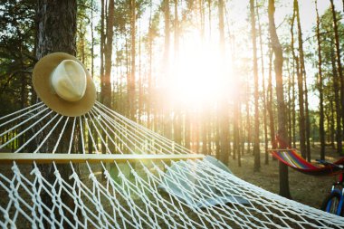 Boş hamaklar, yaz günü ormanda kamp çadırı ve bisiklet.