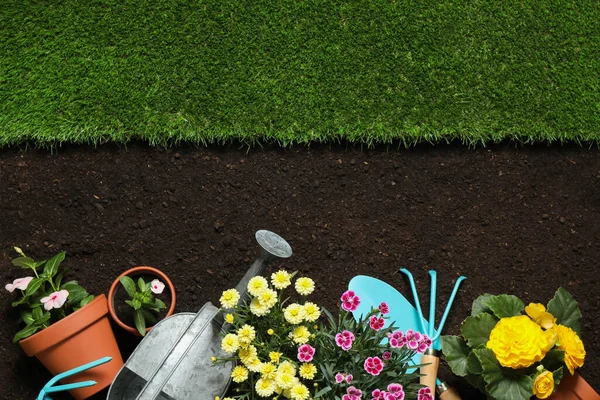 Composição Colocação Plana Com Equipamento Jardinagem Flores Solo Espaço Para — Fotografia de Stock