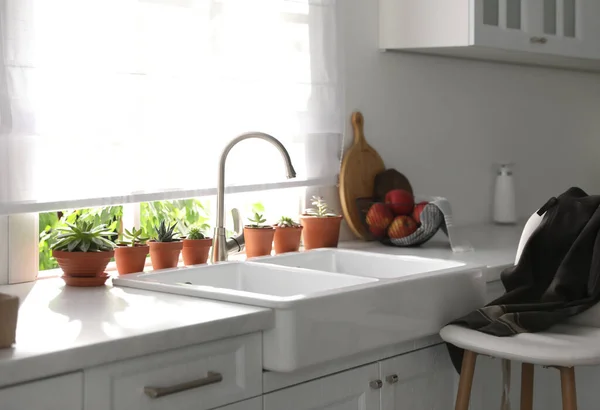 Différentes Plantes Pot Sur Rebord Fenêtre Dans Cuisine — Photo