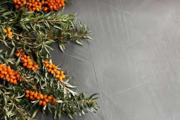 Branches Sea Buckthorn Grey Table Flat Lay Space Text — Stock Photo, Image
