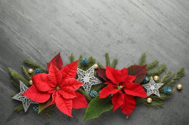 Gri arkaplanda güzel noktalı düz kompozisyon, metin için boşluk. Geleneksel Noel çiçeği