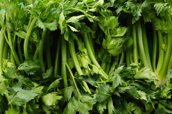 Fresh Green Celery Background Closeup View — Stock Photo, Image