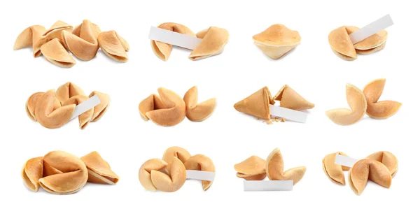 Set Fortune Cookies White Background Banner Design — Stock Photo, Image