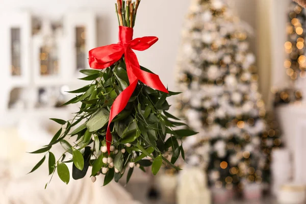 Mistletoe Bunch Red Bow Hanging Room Decorated Christmas — Stock Photo, Image