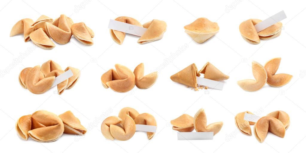 Set of fortune cookies on white background. Banner design