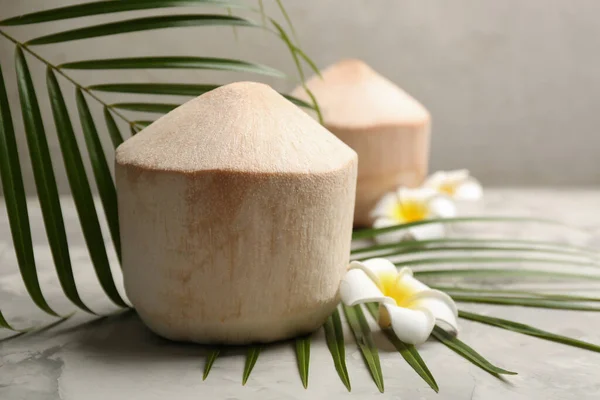 Jovens Cocos Descascados Com Folha Palma Bela Flor Mesa Cinza — Fotografia de Stock