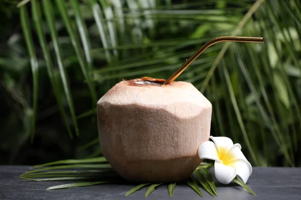 Jonge Geschilde Kokosnoot Met Stro Bloem Zwarte Tafel — Stockfoto