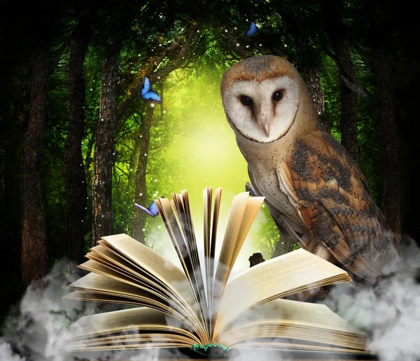Beautiful Wise Owl Book Fantasy World — Stock Photo, Image