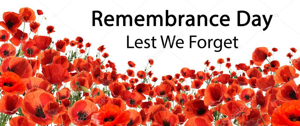 Remembrance day banner. Red poppy flowers and text Lest We Forget on white background