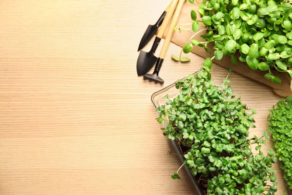 Friss Organikus Mikrozöldségek Kertészeti Szerszámok Faasztalon Lapos Fektetés Szöveg Helye — Stock Fotó
