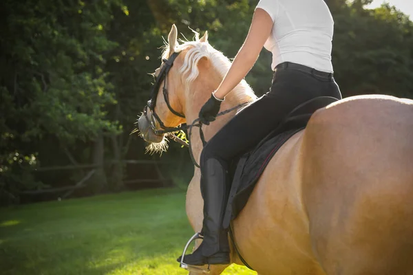 Young Woman Equestrian Suit Riding Horse Outdoors Sunny Day Closeup — Stock Photo, Image