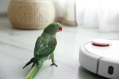 Modern robotik elektrikli süpürge ve Alexandrine muhabbet kuşu.