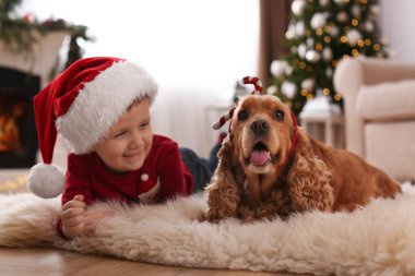 Noel için dekore edilmiş odada İngiliz Cocker Spaniel 'i olan şirin küçük çocuk.