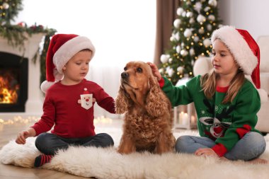 Noel için dekore edilmiş odada İngiliz Cocker Spaniel 'i olan şirin çocuklar.