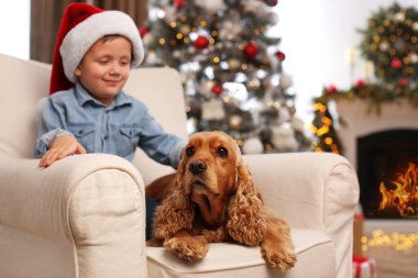 Noel için dekore edilmiş odada İngiliz Cocker Spaniel 'i olan şirin küçük çocuk.