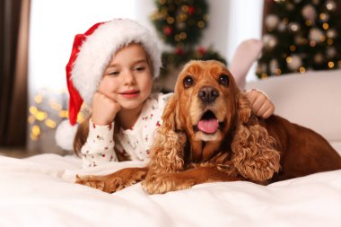 Noel için dekore edilmiş odada İngiliz Cocker Spaniel 'i olan tatlı küçük kız.