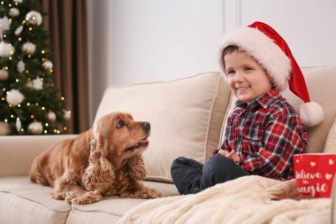 Noel için dekore edilmiş odada İngiliz Cocker Spaniel 'i olan şirin küçük çocuk.