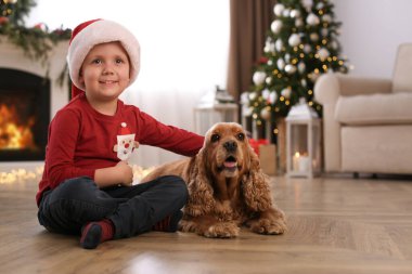 Noel için dekore edilmiş odada İngiliz Cocker Spaniel 'i olan şirin küçük çocuk.