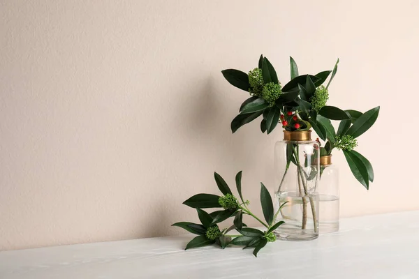 Vas Dengan Cabang Cabang Yang Indah Meja Kayu Putih Dekat — Stok Foto