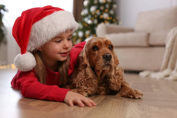 自宅で英語のコッカー スパニエルとサンタの帽子のかわいい女の子 クリスマスのお祝い — ストック写真