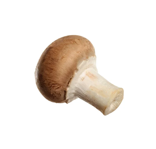 Fungo Champignon Selvatico Fresco Isolato Bianco — Foto Stock