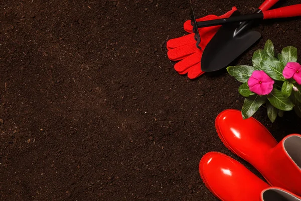 Composição Colocação Plana Com Equipamento Jardinagem Flor Solo Espaço Para — Fotografia de Stock