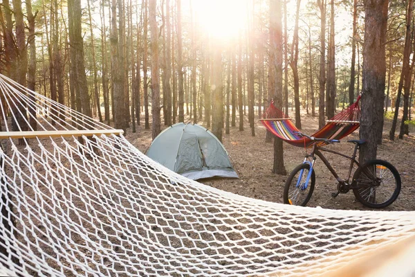 Tomma Hängmattor Campingtält Och Cykel Skogen Sommardag — Stockfoto