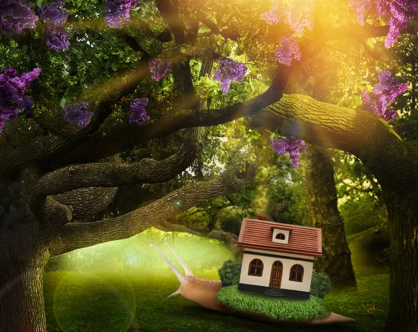Fantasiewereld Magische Slak Met Zijn Schelp Huis Een Prachtig Bos — Stockfoto