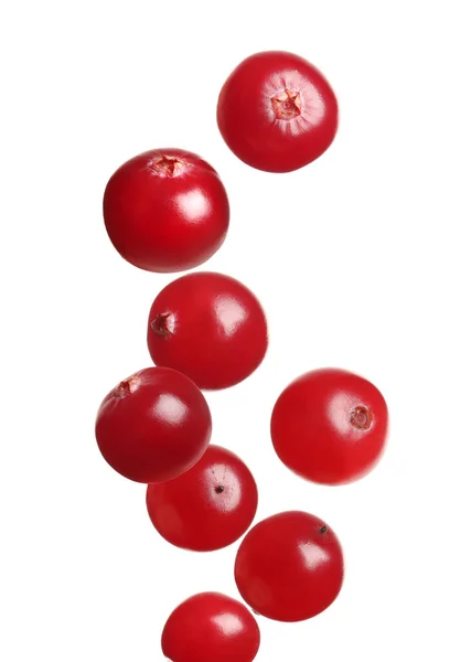 Fresh Red Cranberries Falling White Background — Stock Photo, Image