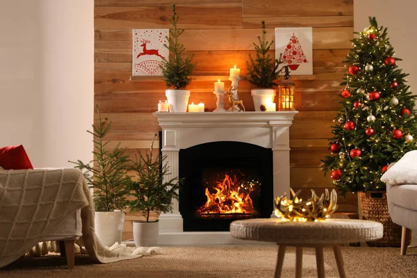 Hermoso Interior Habitación Con Abetos Maceta Chimenea Árbol Navidad Decorado —  Fotos de Stock