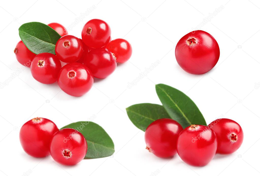 Set of fresh ripe cranberries on white background
