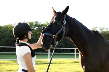 Ata binen genç bir kadın ve güneşli bir günde güzel evcil hayvanı.