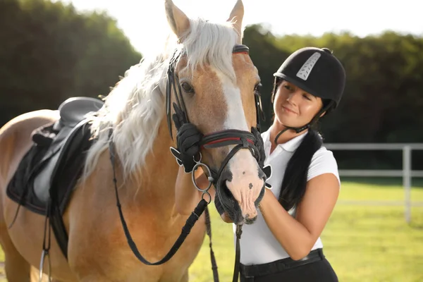 Jovem Mulher Cavalo Equitação Terno Seu Belo Animal Estimação Livre — Fotografia de Stock