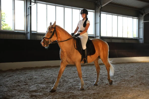 乗馬スーツの若い女性が屋内で馬に乗る 美しいペット — ストック写真