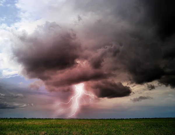 Tempestade Pitoresca Sobre Campo Verde Relâmpago Atingindo Céu Escuro Nublado — Fotografia de Stock