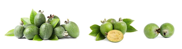 Uppsättning Färska Mogna Feijoas Vit Bakgrund Banderolldesign — Stockfoto