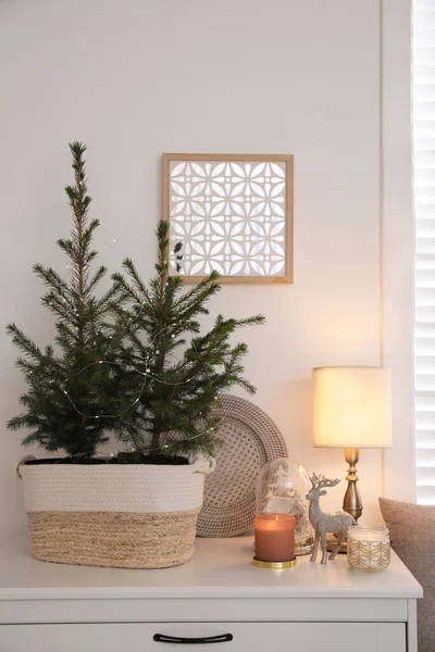 Hermoso Interior Habitación Decorada Para Navidad Con Abetos Maceta —  Fotos de Stock