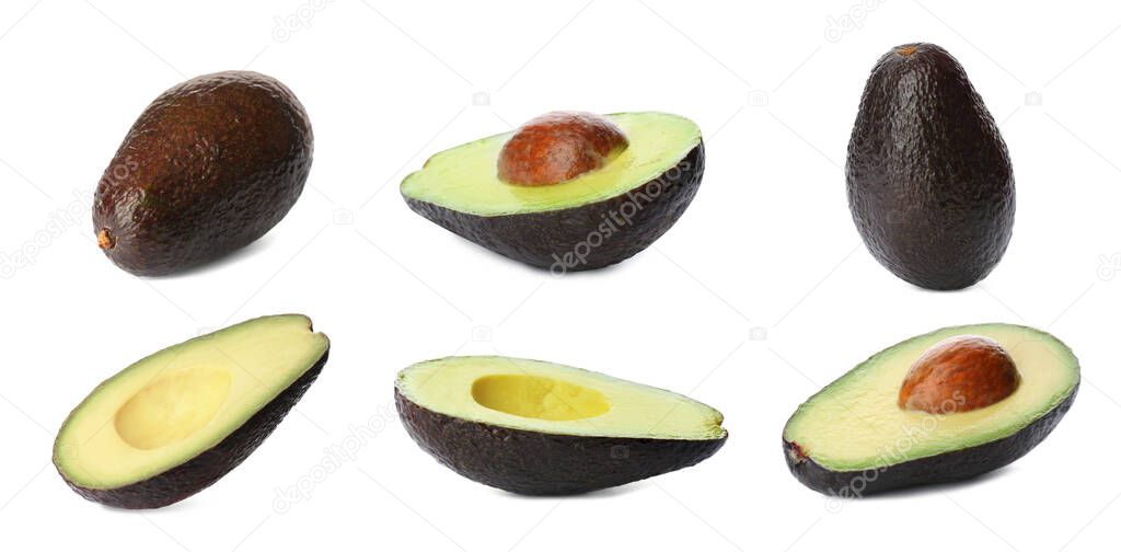 Set of ripe avocados on white background. Banner design