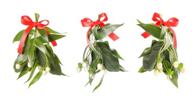 Beyaz arka planda ökseotu demetleri ile ayarlayın. Geleneksel Noel dekorasyonu