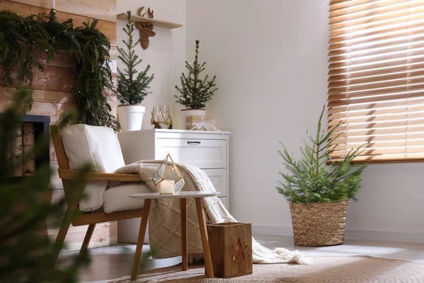 Mooie Kamer Ingericht Voor Kerstmis Met Potted Firs Interieur Ontwerp — Stockfoto
