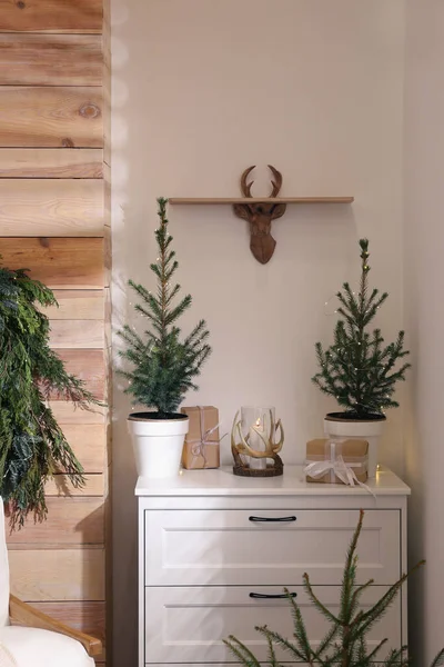 Hermosa Habitación Decorada Para Navidad Con Abetos Maceta Diseño Interiores —  Fotos de Stock