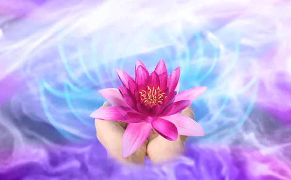 Woman holding beautiful lotus flower on bright background, closeup