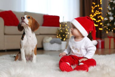 Noel Baba şapkalı bebek ve evde sevimli Beagle köpeği bulanık Noel ışıklarına karşı
