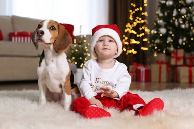 Noel Baba şapkalı bebek ve evde sevimli Beagle köpeği bulanık Noel ışıklarına karşı