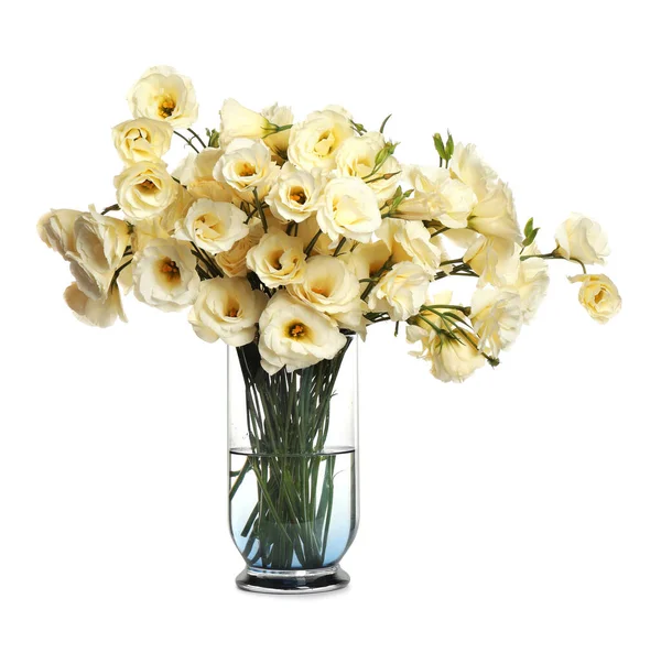 Belles Fleurs Eustoma Dans Vase Isolé Sur Blanc — Photo
