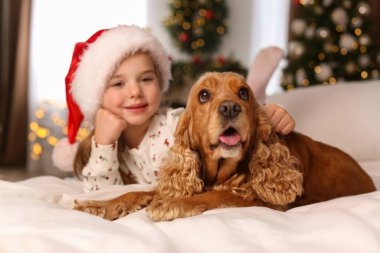 Noel için dekore edilmiş odada İngiliz Cocker Spaniel 'i olan tatlı küçük kız.